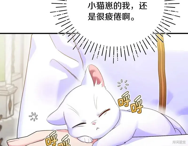 專屬蘇丹的寶貝貓咪,第5话,第133张