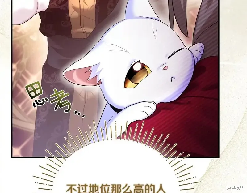 專屬蘇丹的寶貝貓咪,第5话,第140张