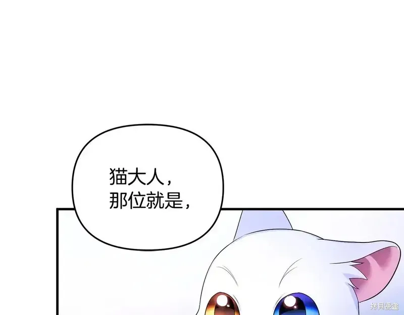 專屬蘇丹的寶貝貓咪,第5话,第148张