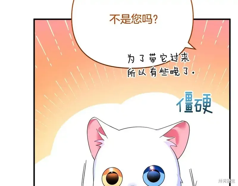 專屬蘇丹的寶貝貓咪,第5话,第163张