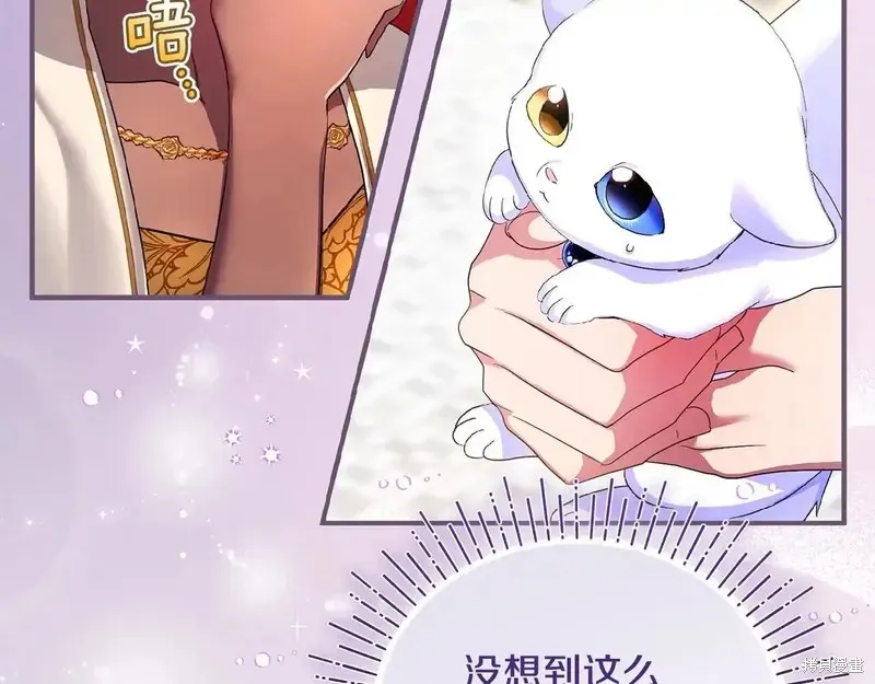 專屬蘇丹的寶貝貓咪,第5话,第167张