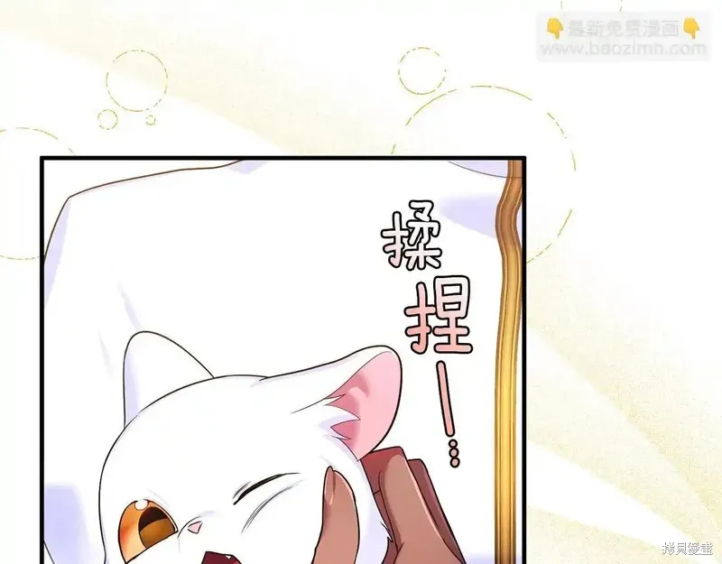 專屬蘇丹的寶貝貓咪,第5话,第174张