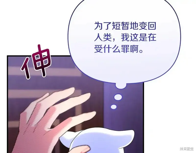 專屬蘇丹的寶貝貓咪,第5话,第83张