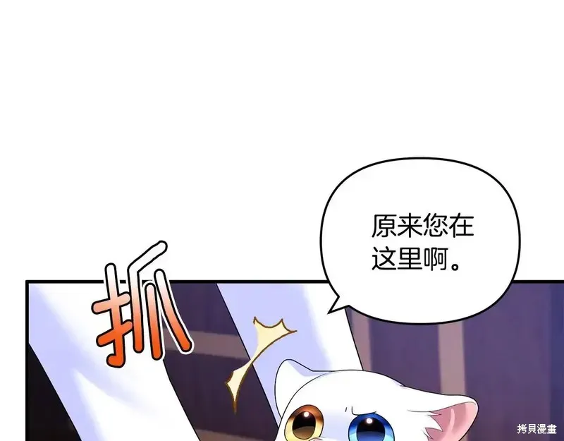 專屬蘇丹的寶貝貓咪,第5话,第85张