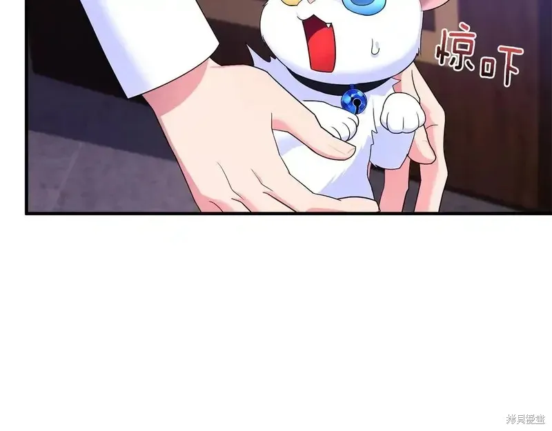 專屬蘇丹的寶貝貓咪,第5话,第86张