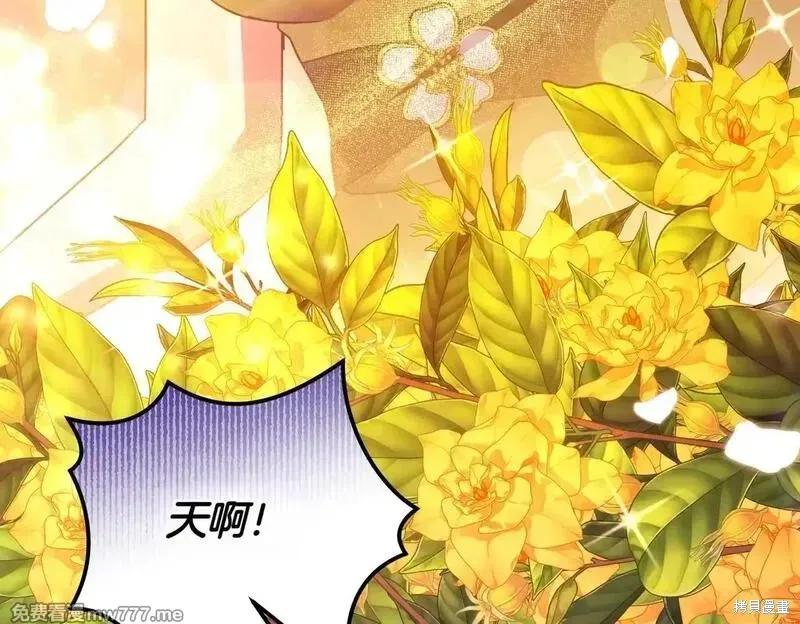 專屬蘇丹的寶貝貓咪,第47话,第160张