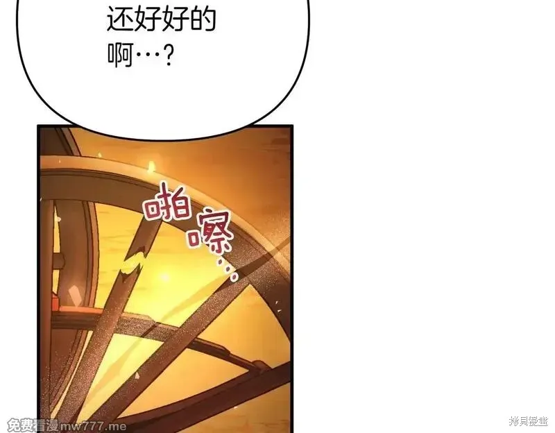 專屬蘇丹的寶貝貓咪,第47话,第65张