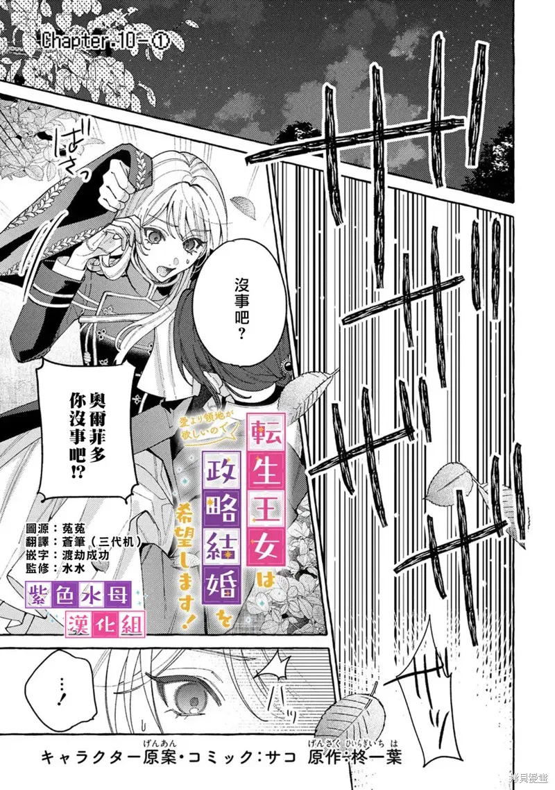 转生公主比起爱更想要领地所以期望政治联姻！,第10.1話,第1张