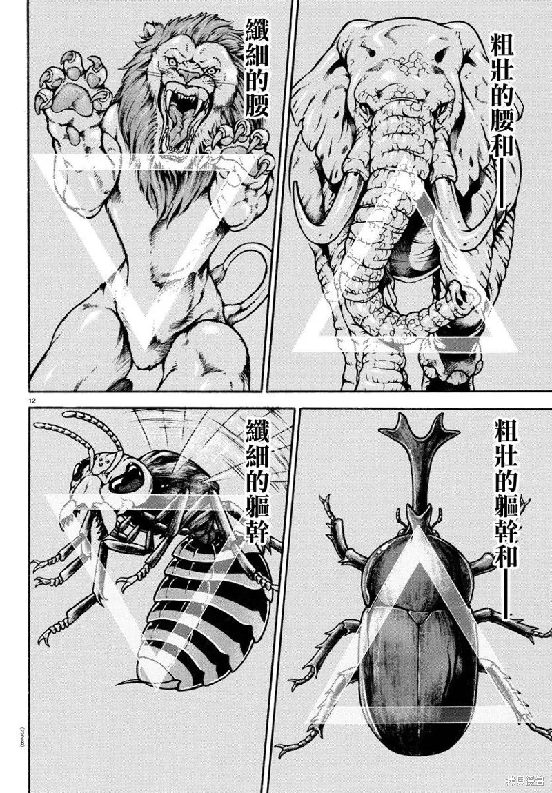 刃牙道Ⅱ,第139话,第12张