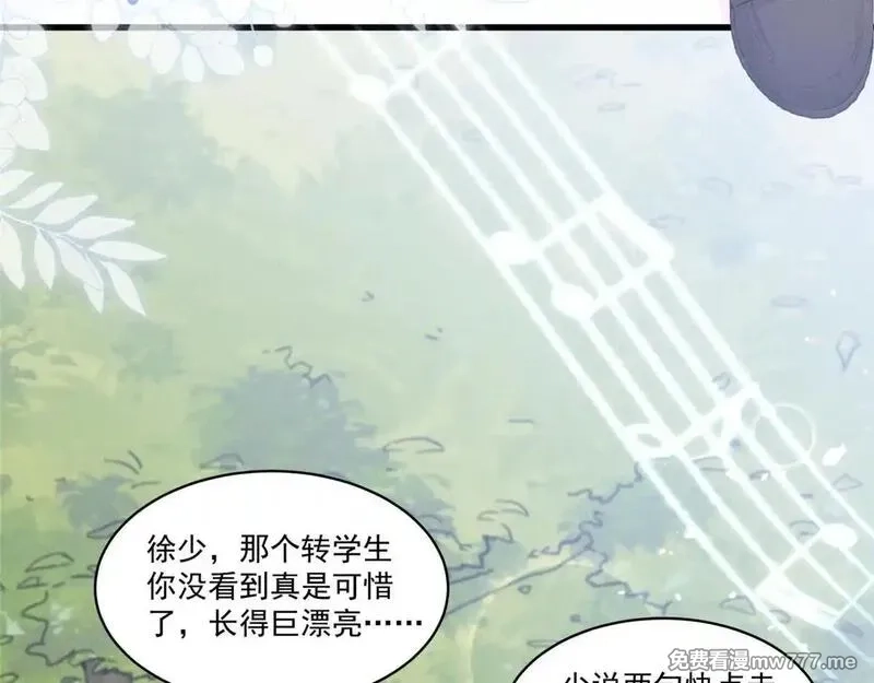 夫人你马甲又掉了,03 让人有点在意啊,第163张