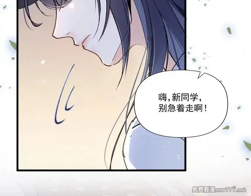 夫人你马甲又掉了,03 让人有点在意啊,第67张