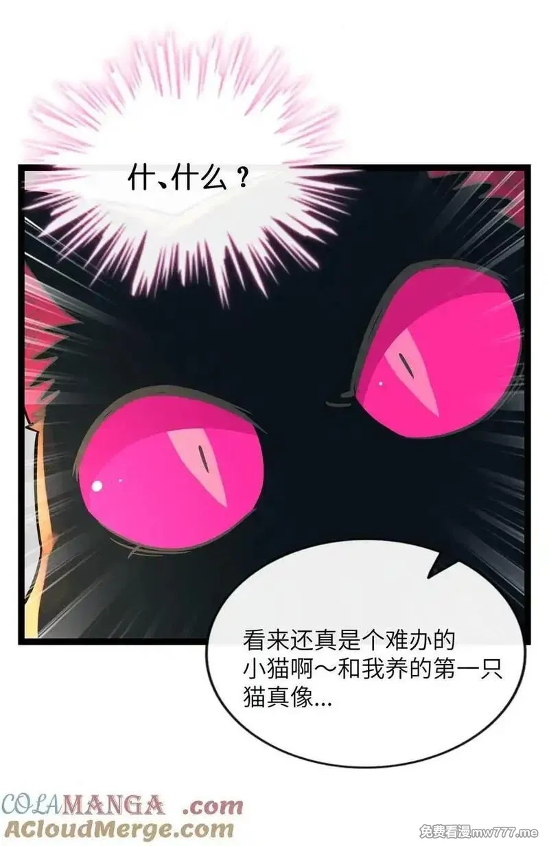 荆棘之心,096 惺惺相惜,第25张