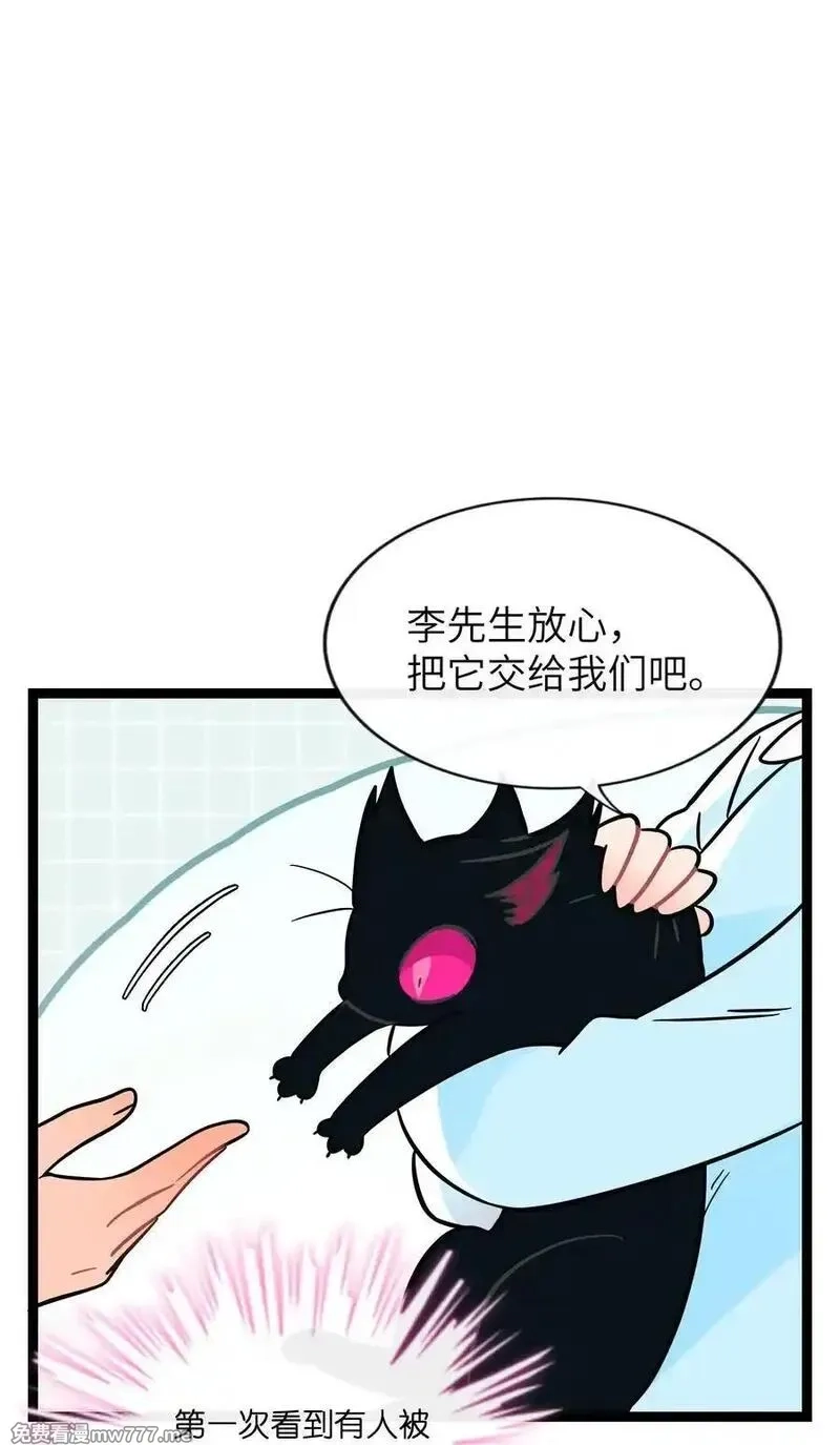 荆棘之心,096 惺惺相惜,第26张