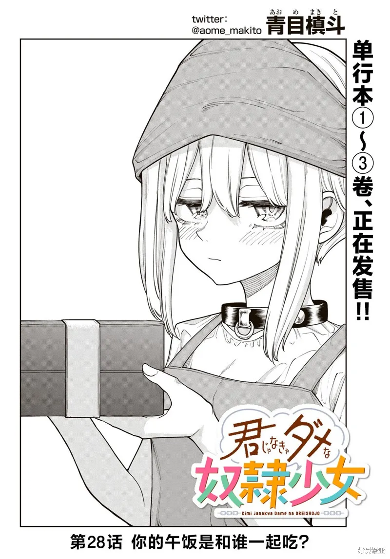 只属于你的奴隶少女,第28话,第4张