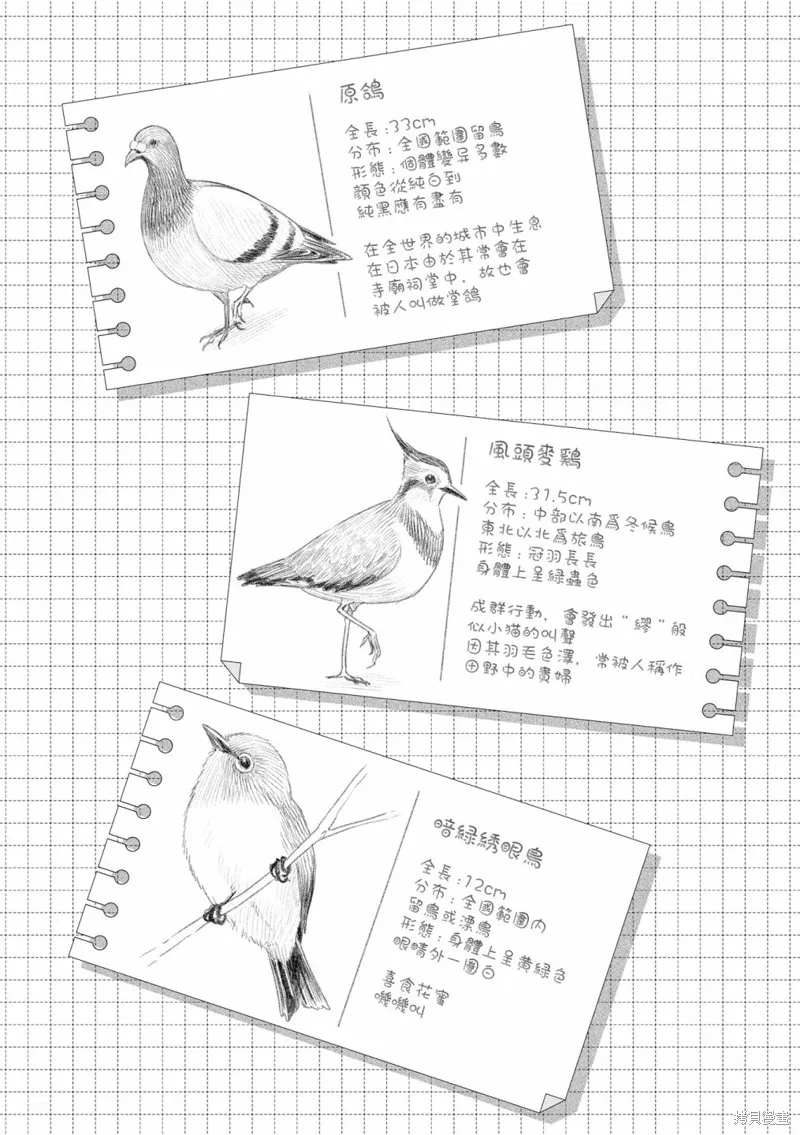 幸福觀鳥,02卷彩页,第10张