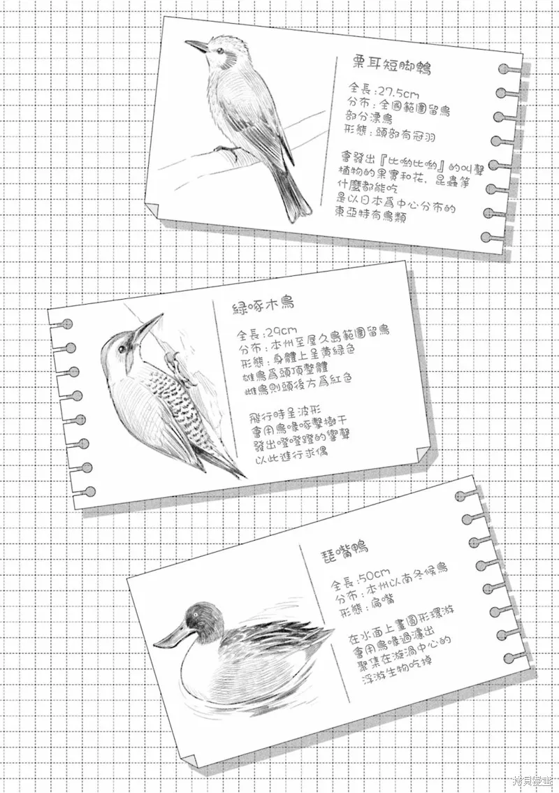 幸福觀鳥,02卷彩页,第8张