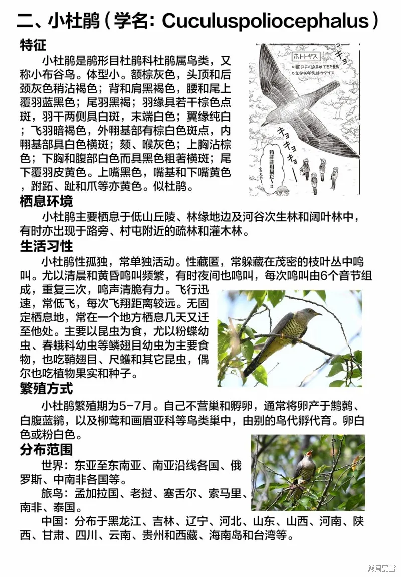 幸福觀鳥,第37话,第10张