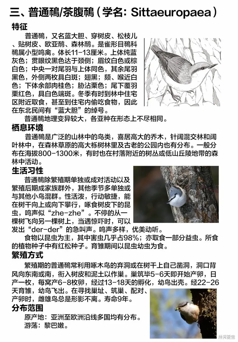 幸福觀鳥,第37话,第11张