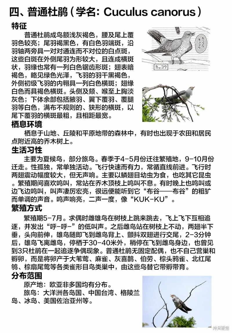 幸福觀鳥,第37话,第12张