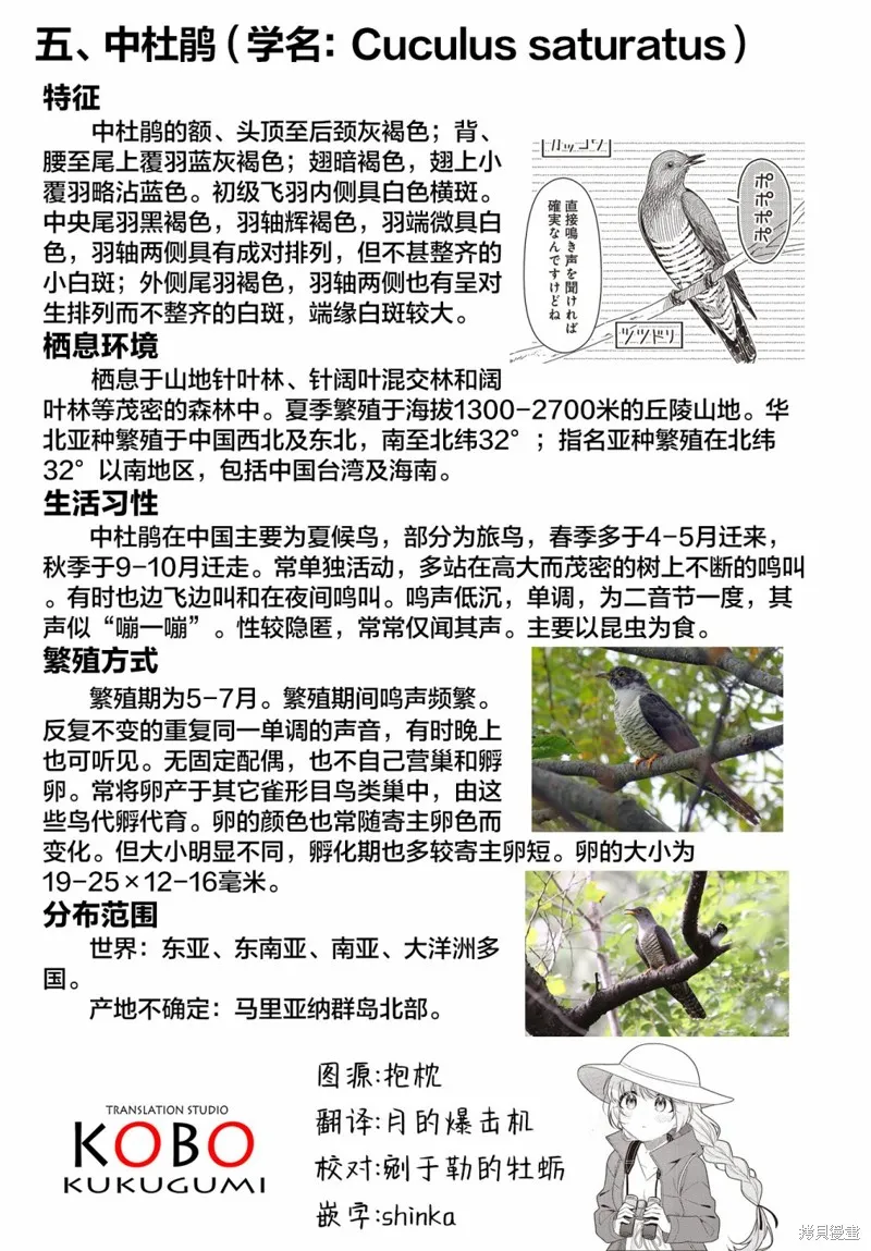 幸福觀鳥,第37话,第13张
