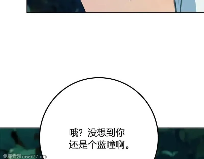 神的打工世界,第74话 美人的诅咒,第166张