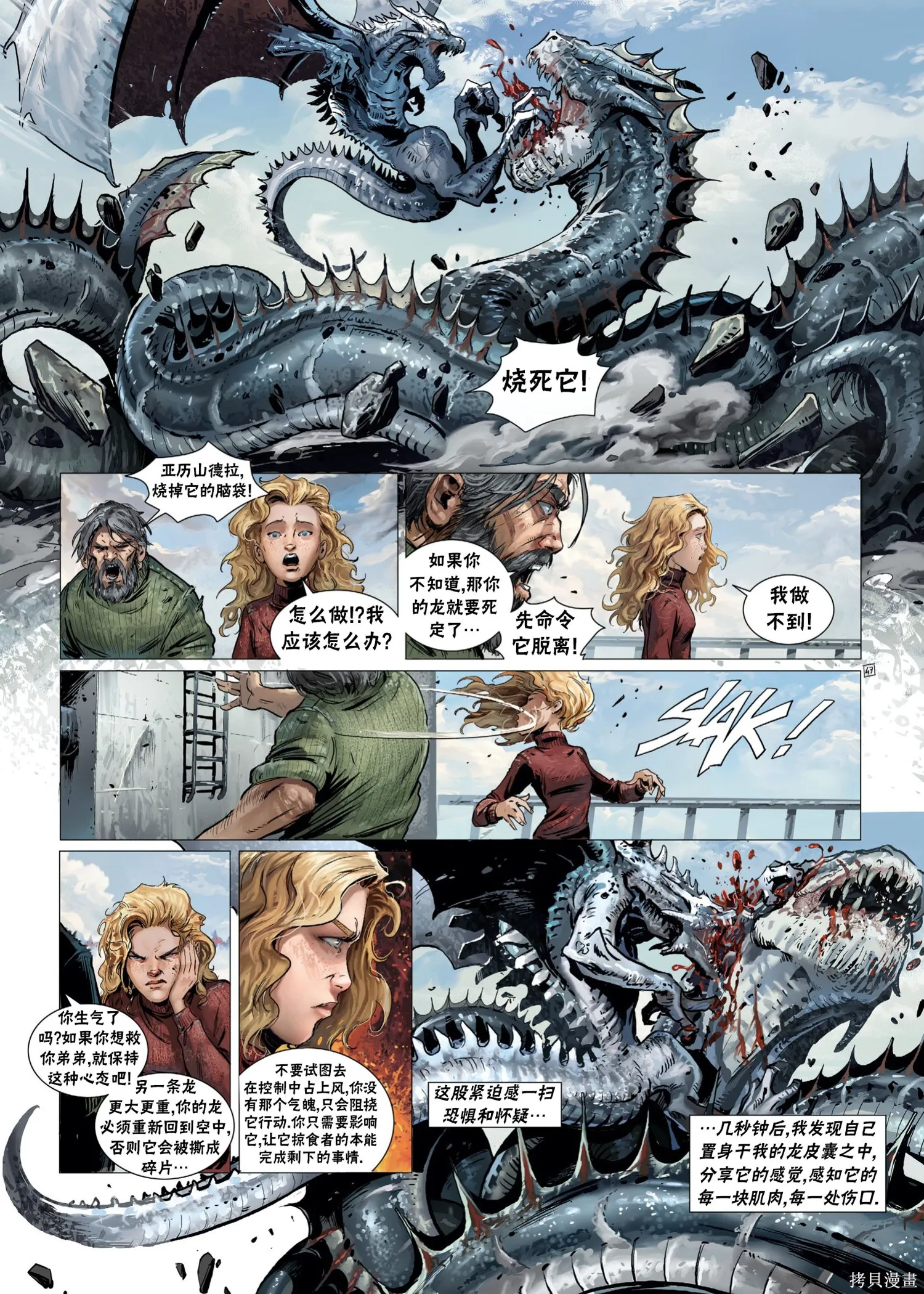 戰爭與龍,第02卷下,第17张