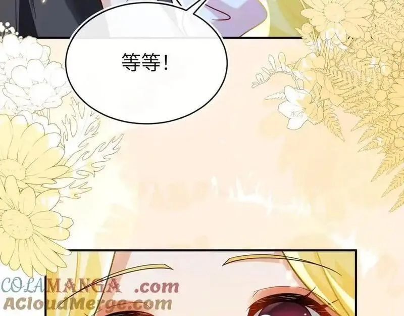 刚退婚，就被奶凶狐狸拐进民政局,姐姐，help me！,第65张