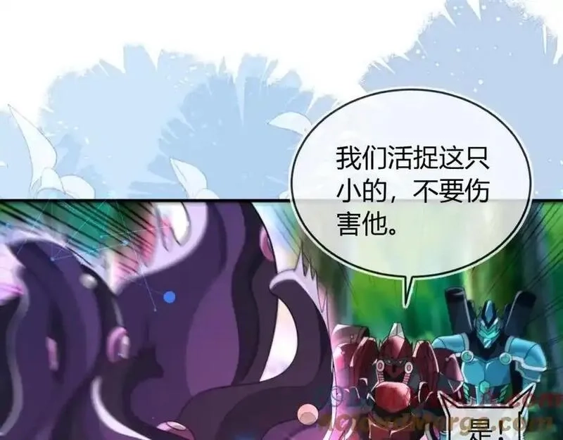 刚退婚，就被奶凶狐狸拐进民政局,他一直是易感期就好了,第69张