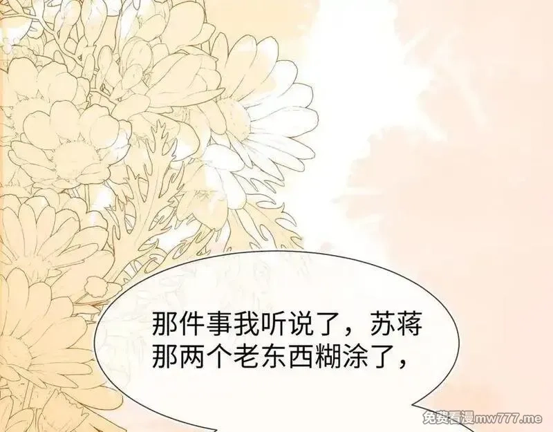 刚退婚，就被奶凶狐狸拐进民政局,安妮的匹配对象,第11张