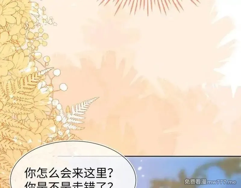 刚退婚，就被奶凶狐狸拐进民政局,安妮的匹配对象,第119张