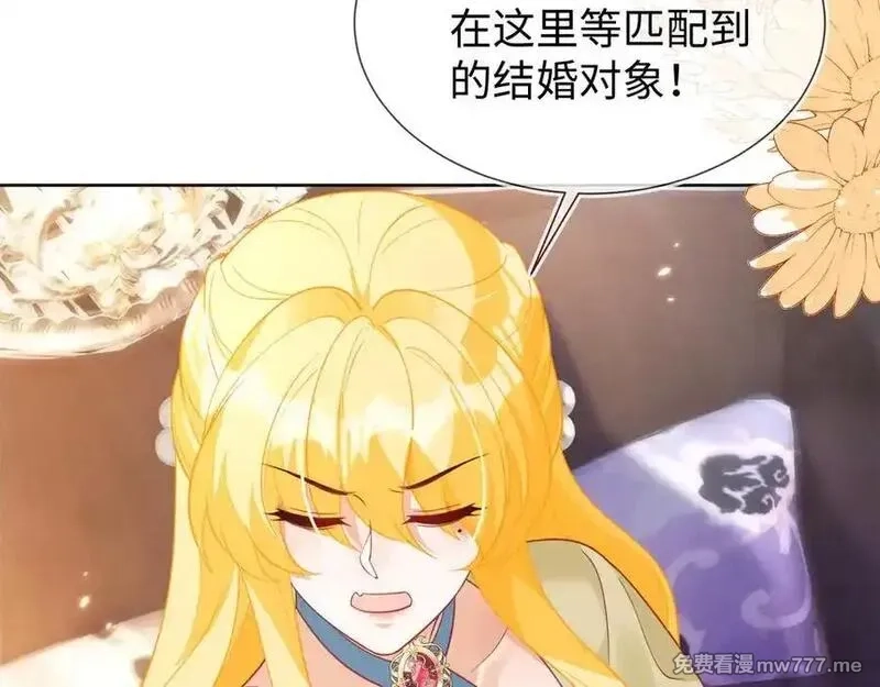 刚退婚，就被奶凶狐狸拐进民政局,安妮的匹配对象,第123张