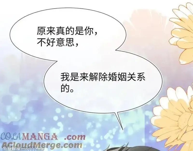 刚退婚，就被奶凶狐狸拐进民政局,安妮的匹配对象,第125张