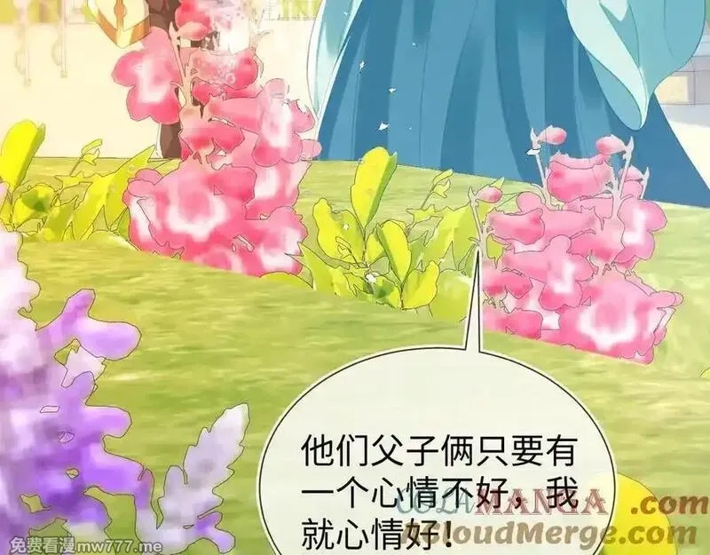 刚退婚，就被奶凶狐狸拐进民政局,安妮的匹配对象,第41张