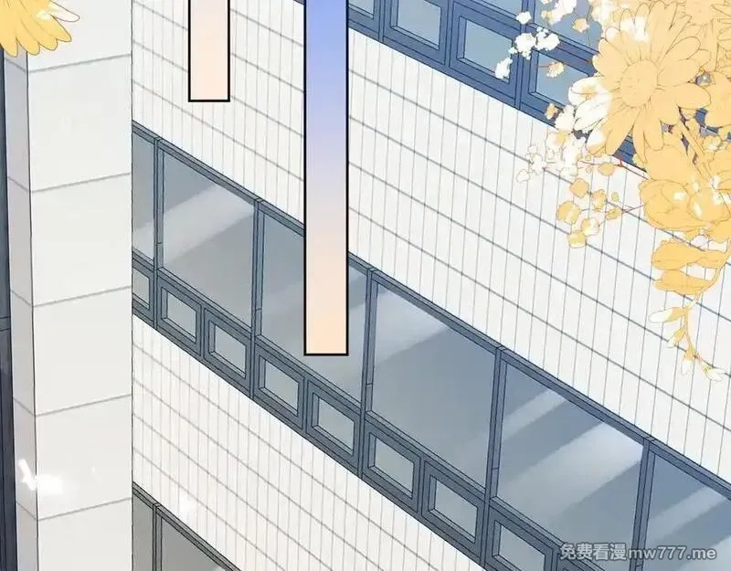 刚退婚，就被奶凶狐狸拐进民政局,安妮的匹配对象,第48张