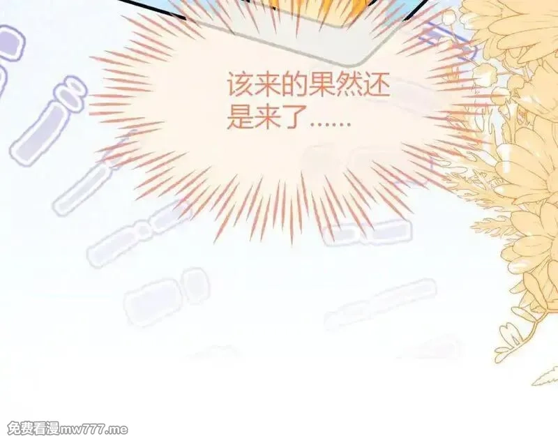 刚退婚，就被奶凶狐狸拐进民政局,安妮的匹配对象,第64张
