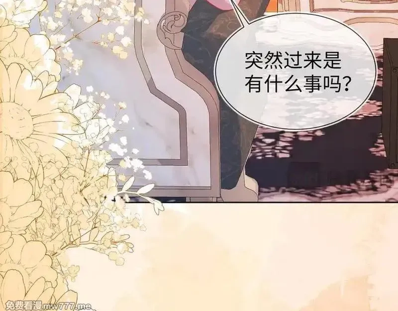 刚退婚，就被奶凶狐狸拐进民政局,安妮的匹配对象,第7张
