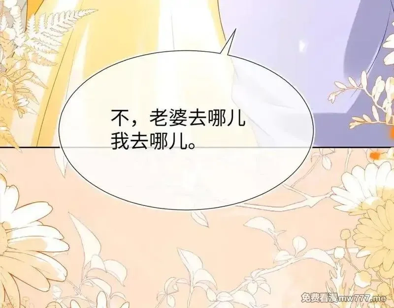 刚退婚，就被奶凶狐狸拐进民政局,安妮的匹配对象,第70张