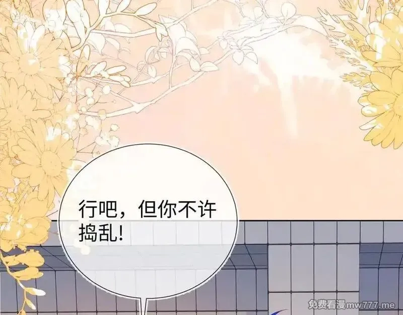 刚退婚，就被奶凶狐狸拐进民政局,安妮的匹配对象,第71张