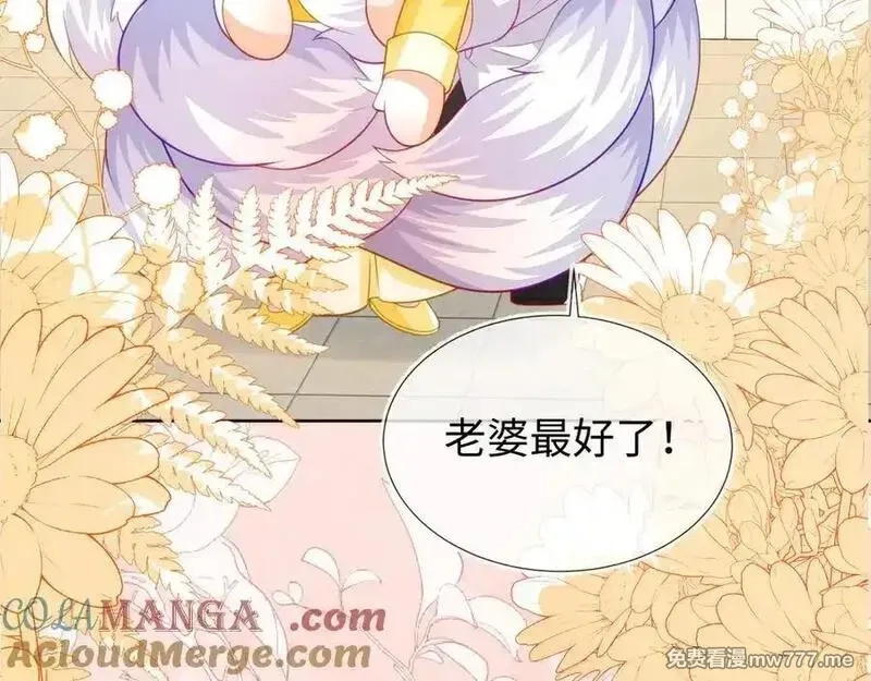 刚退婚，就被奶凶狐狸拐进民政局,安妮的匹配对象,第73张