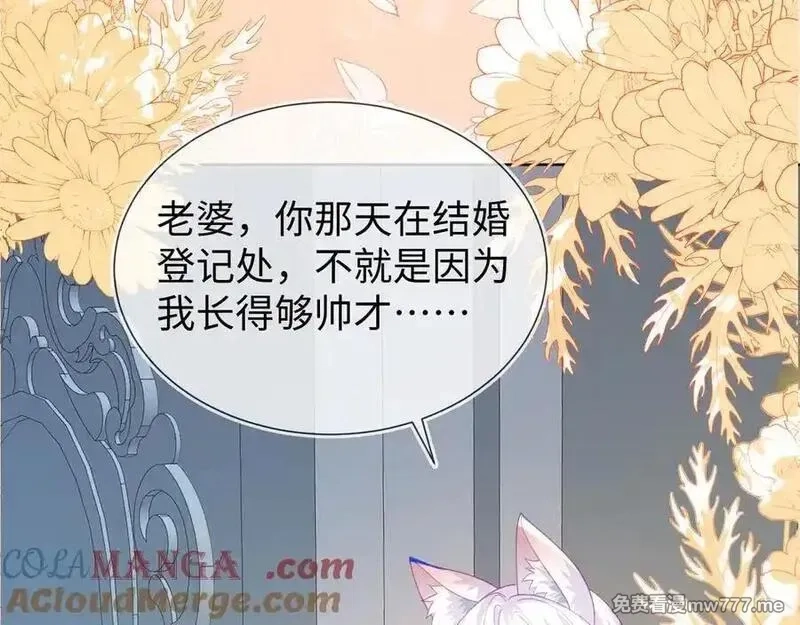 刚退婚，就被奶凶狐狸拐进民政局,安妮的匹配对象,第81张