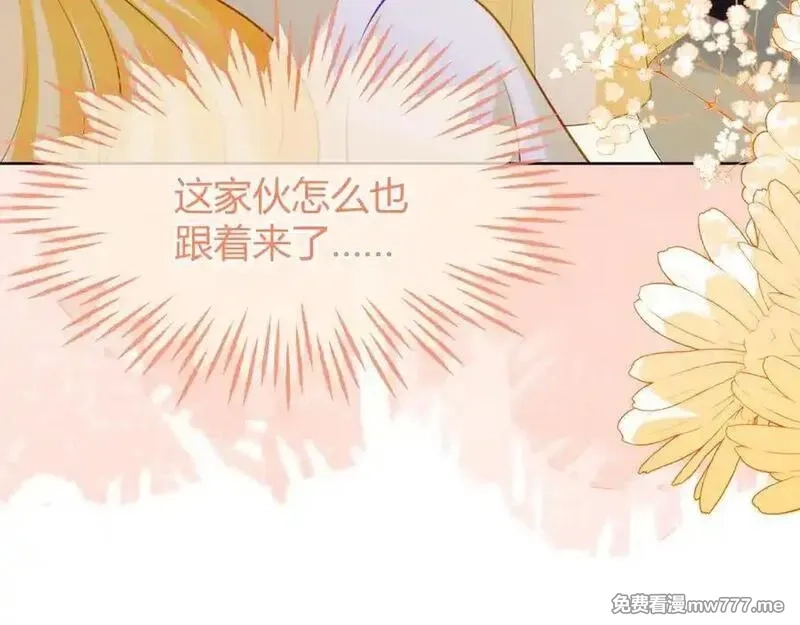 刚退婚，就被奶凶狐狸拐进民政局,安妮的匹配对象,第84张