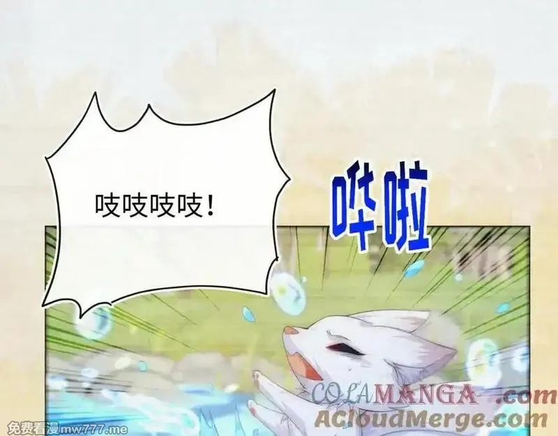 刚退婚，就被奶凶狐狸拐进民政局,带你回家！,第125张