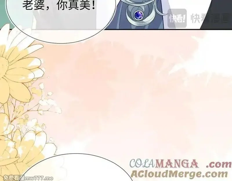 刚退婚，就被奶凶狐狸拐进民政局,带你回家！,第17张
