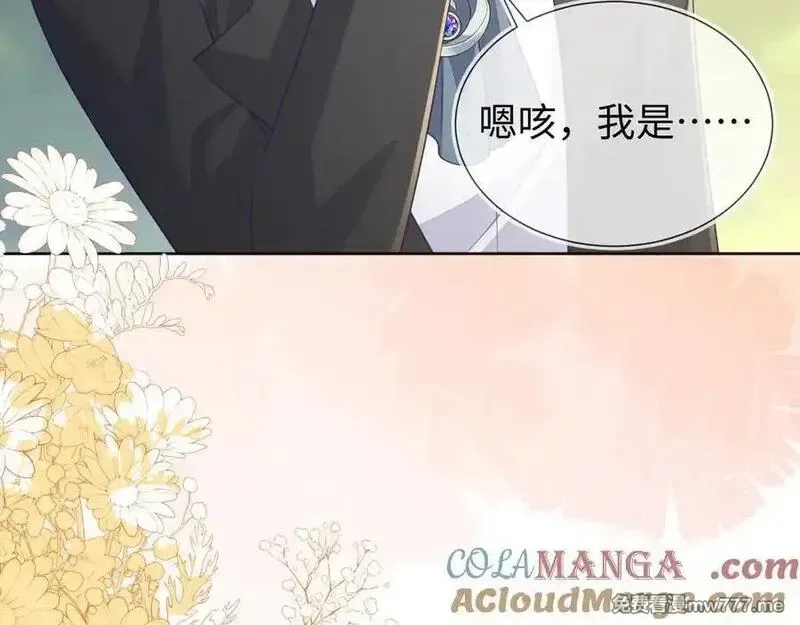刚退婚，就被奶凶狐狸拐进民政局,带你回家！,第41张