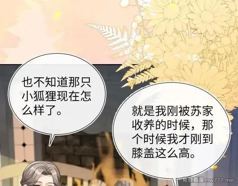 刚退婚，就被奶凶狐狸拐进民政局,带你回家！,第92张