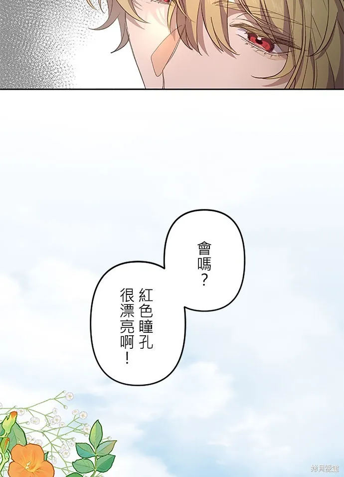 守墓圣女为何决定结婚,第19话,第60张