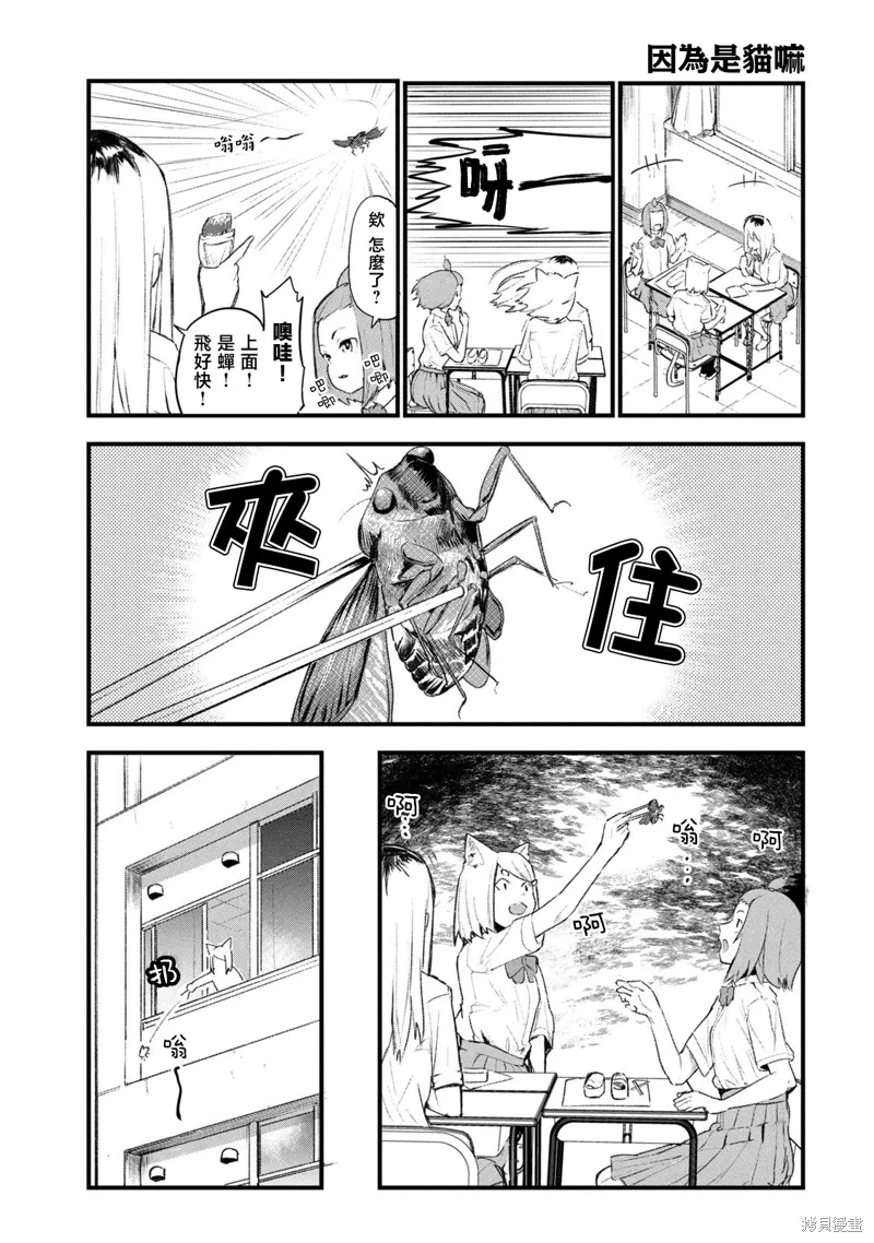 雅尼貓,01卷番外,第5张