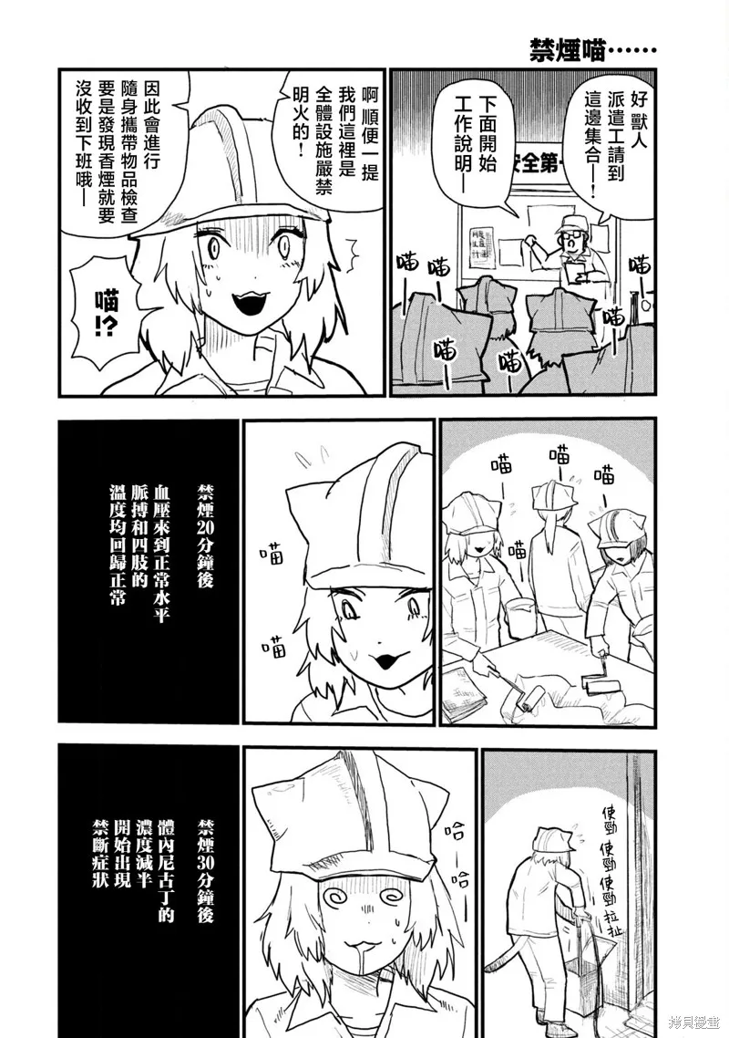 雅尼貓,第03话,第4张