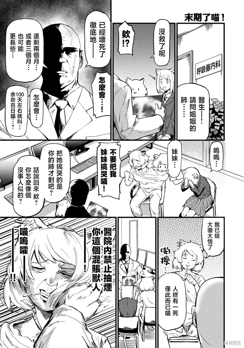 雅尼貓,第02話,第17张