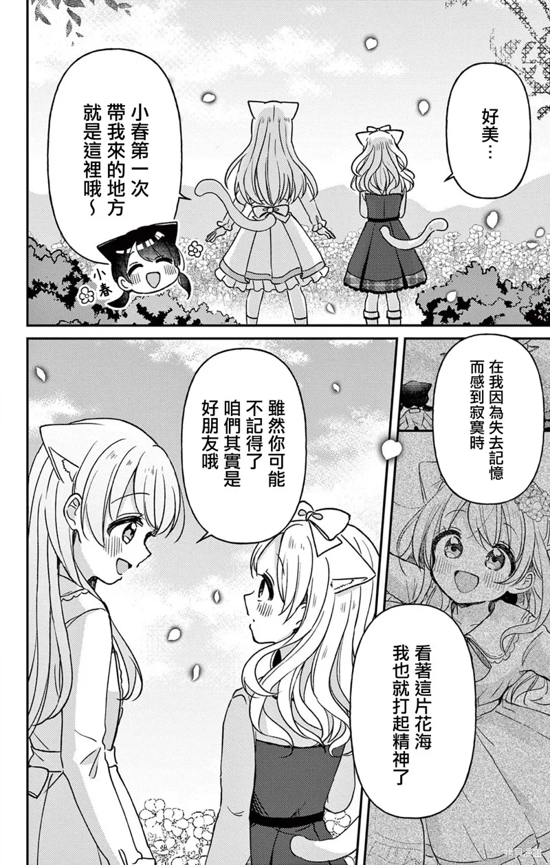 不可思議的貓之小鎮梅爾提亞,第22話,第9张